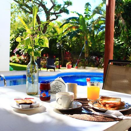 Green Oasis Home Boutique Playa del Carmen Exteriér fotografie