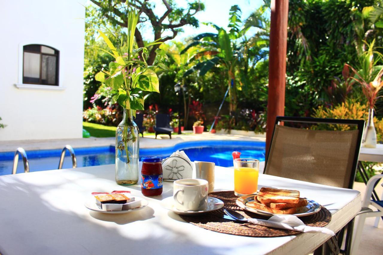 Green Oasis Home Boutique Playa del Carmen Exteriér fotografie