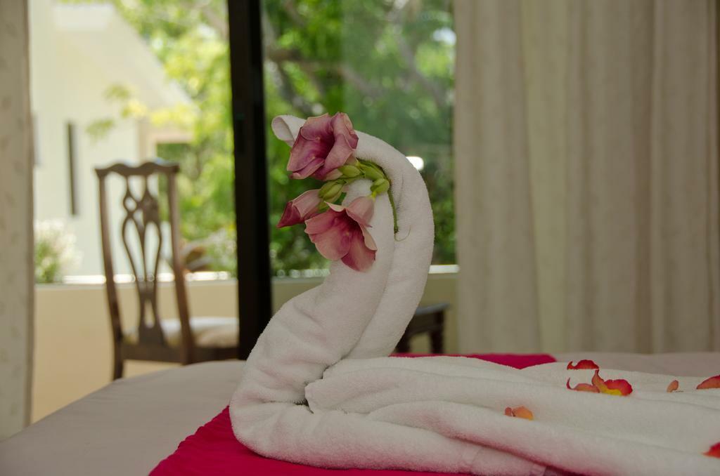 Green Oasis Home Boutique Playa del Carmen Exteriér fotografie